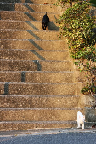 階段を降りて